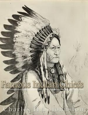 Cover of the book Famous Indian Chiefs by Frontinus