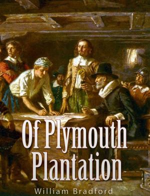 Cover of the book Of Plymouth Plantation by Viscount James Bryce