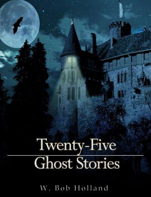 Cover of the book Twenty-Five Ghost Stories by William Shakespeare