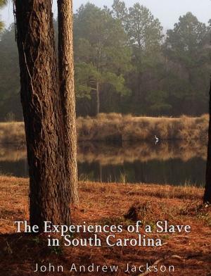 Cover of the book The Experience of a Slave in South Carolina by H.C. McNeile