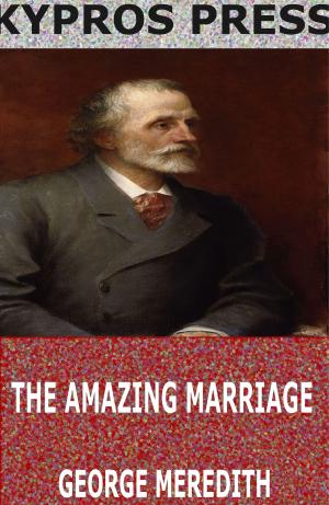 Cover of the book The Amazing Marriage by Elizabeth Lyle Saxson