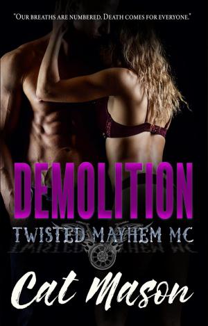 Cover of the book Demolition by Lauren Milner-Howells