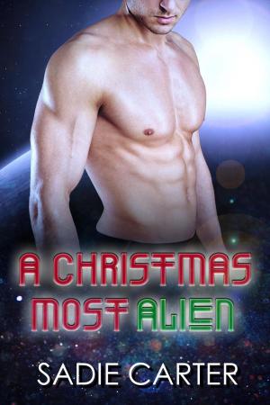 Cover of the book A Christmas Most Alien by Chris Schilver