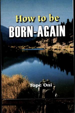 bigCover of the book How To Be Born Again by 