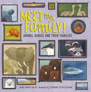 Cover of the book Meet My Family! by Jamie Korngold