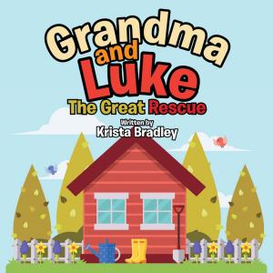 Cover of the book Grandma and Luke by Leah Hill McNair