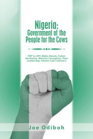Cover of the book Nigeria: Government of the People for the Cows by Erisol A Darlington