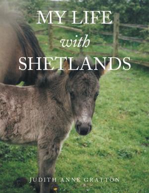 Book cover of My Life with Shetlands