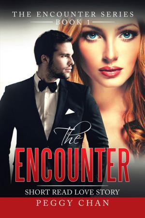 Cover of the book The Encounter by Fawaz AL-Theeb