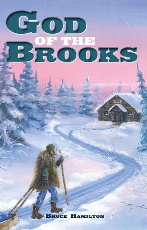 Cover of the book God of the Brooks by Jill Mattson