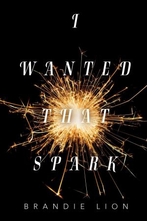 Cover of the book I Wanted That Spark by Richard Paul Hirtreiter