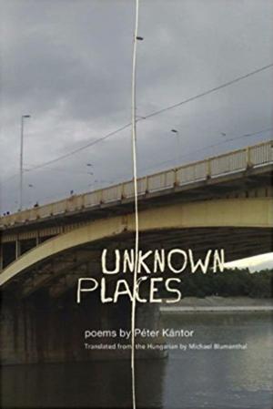 Cover of the book Unknown Places by Генрих Гопе Sr