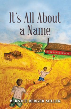 Cover of the book It’S All About a Name by E. Floyd Phelps