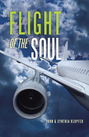 Cover of the book Flight of the Soul by Stephen Gallagher