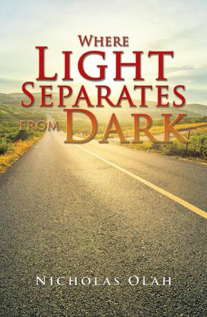 Book cover of Where Light Separates from Dark