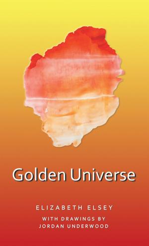 Cover of the book Golden Universe by Sam Egube