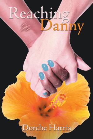 Cover of the book Reaching Danny by Lindsay Luterman