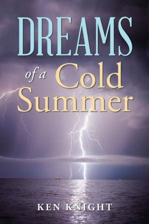 Book cover of Dreams of a Cold Summer