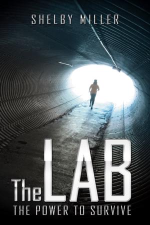 Cover of the book The Lab by Okoli I. Victor