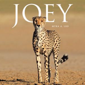 Cover of the book Joey by Robin King