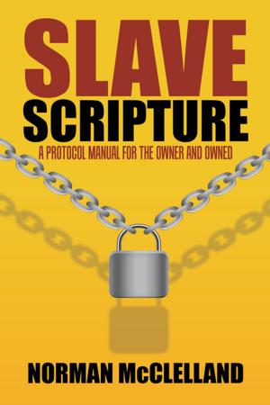 Cover of the book Slave Scripture by Joshua Alexander