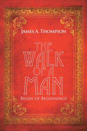 Cover of the book The Walk of a Man by Carey Lewis