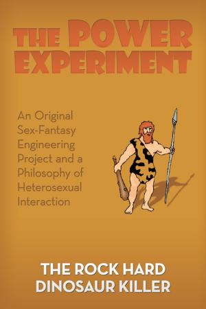 Cover of the book The Power Experiment by Clive Alando Taylor