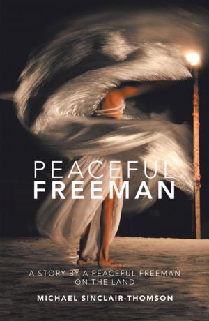Cover of the book Peaceful Freeman by Skadi Winter