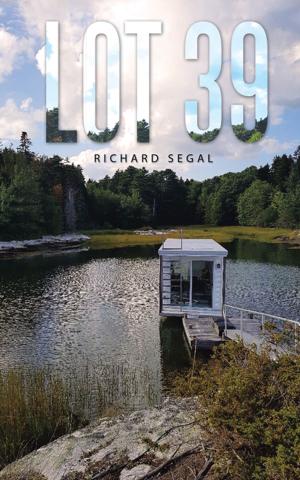 Cover of the book Lot 39 by Georgeann Allard