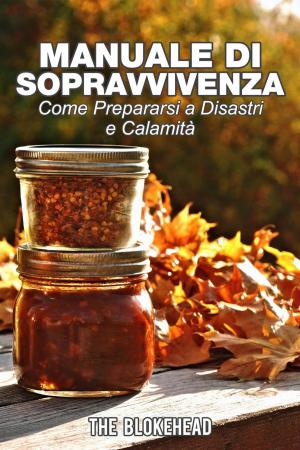 Cover of the book Manuale di sopravvivenza. Come prepararsi a disastri e calamità. by Stefania Gil