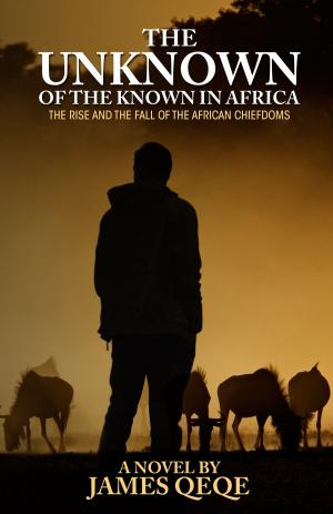 Cover of the book The Unknown of the Known in Africa by Charlene Townsend
