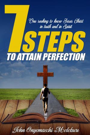 Cover of the book 7 Steps to Attain Perfection by Michael Travis, Armand Spielman