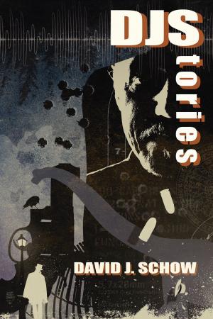 Cover of the book DJStories by Lewis Shiner