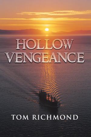 Cover of the book Hollow Vengeance by Michael Pon