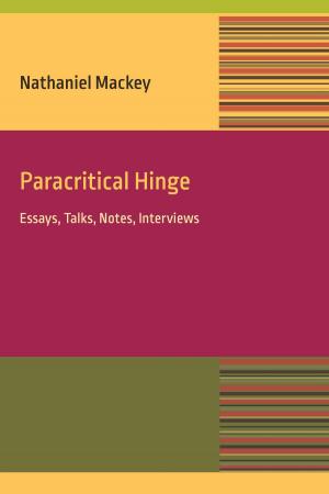 Cover of the book Paracritical Hinge by Saul Sanchez