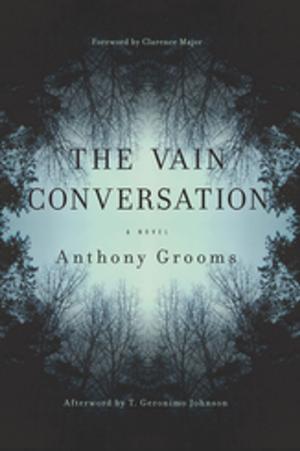 Cover of the book The Vain Conversation by Jerome Klinkowitz