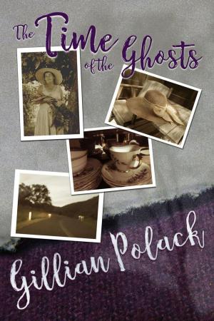Cover of the book The Time of the Ghosts by Jennifer Stevenson