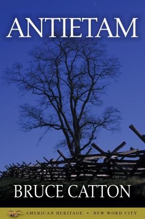 Cover of the book Antietam by Edwin S. Grosvenor
