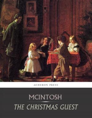 Book cover of The Christmas Guest
