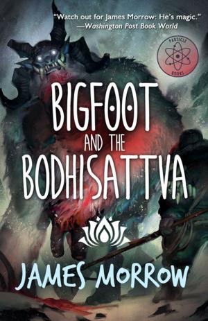 Book cover of Bigfoot and the Bodhisattva