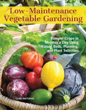 Cover of the book Low-Maintenance Vegetable Gardening by Alan Bridgewater, Gill Bridgewater