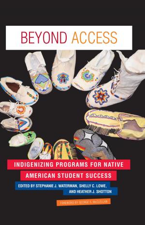 Cover of the book Beyond Access by Shoshanna Sumka, Melody Christine Porter, Jill Piacitelli