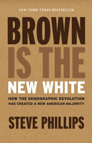 Cover of the book Brown Is the New White by Marc Mauer