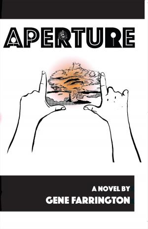 Cover of the book Aperture by Joe Calderwood