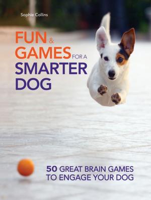 Cover of the book Fun and Games for a Smarter Dog by Charlotte Schwartz