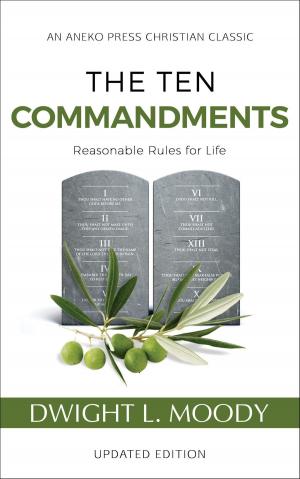 Cover of the book The Ten Commandments: Reasonable Rules for Life by Nathan Lorick