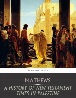 Cover of the book A History of New Testament Times in Palestine, 175 B.C. 70 A.D. by Henry James
