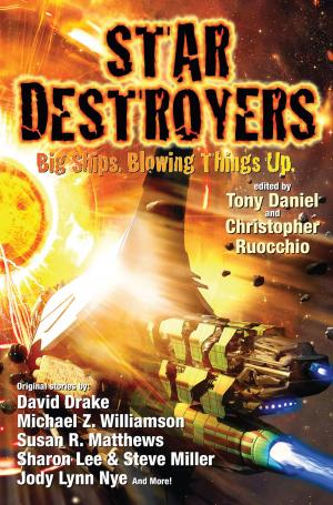 Cover of the book Star Destroyers by Steve White