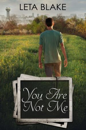 Cover of the book You Are Not Me by Daniel Lessard