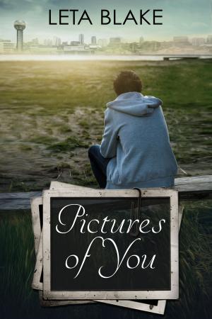 Cover of the book Pictures of You by Jill Hughey